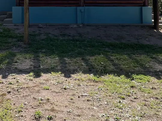 Cabaña Merlot: pared de troncos y pérgola
