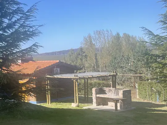Arboleda del predio con una de las piscinas al fondo