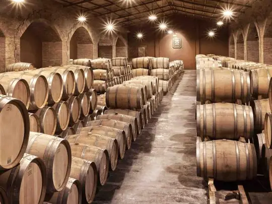 Cava de una bodega con barricas de roble