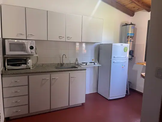 Cocina con alacenas, microondas, horno eléctrico y heladera